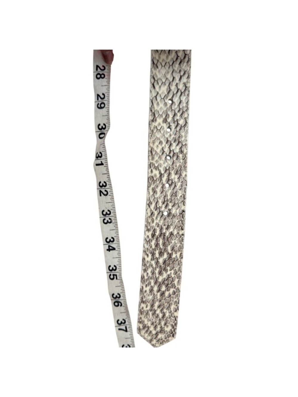 Ritz Snake Skin Belt With Gold-Tone Buckle M/L Size Cream & Black Pattern - Picture 7 of 9